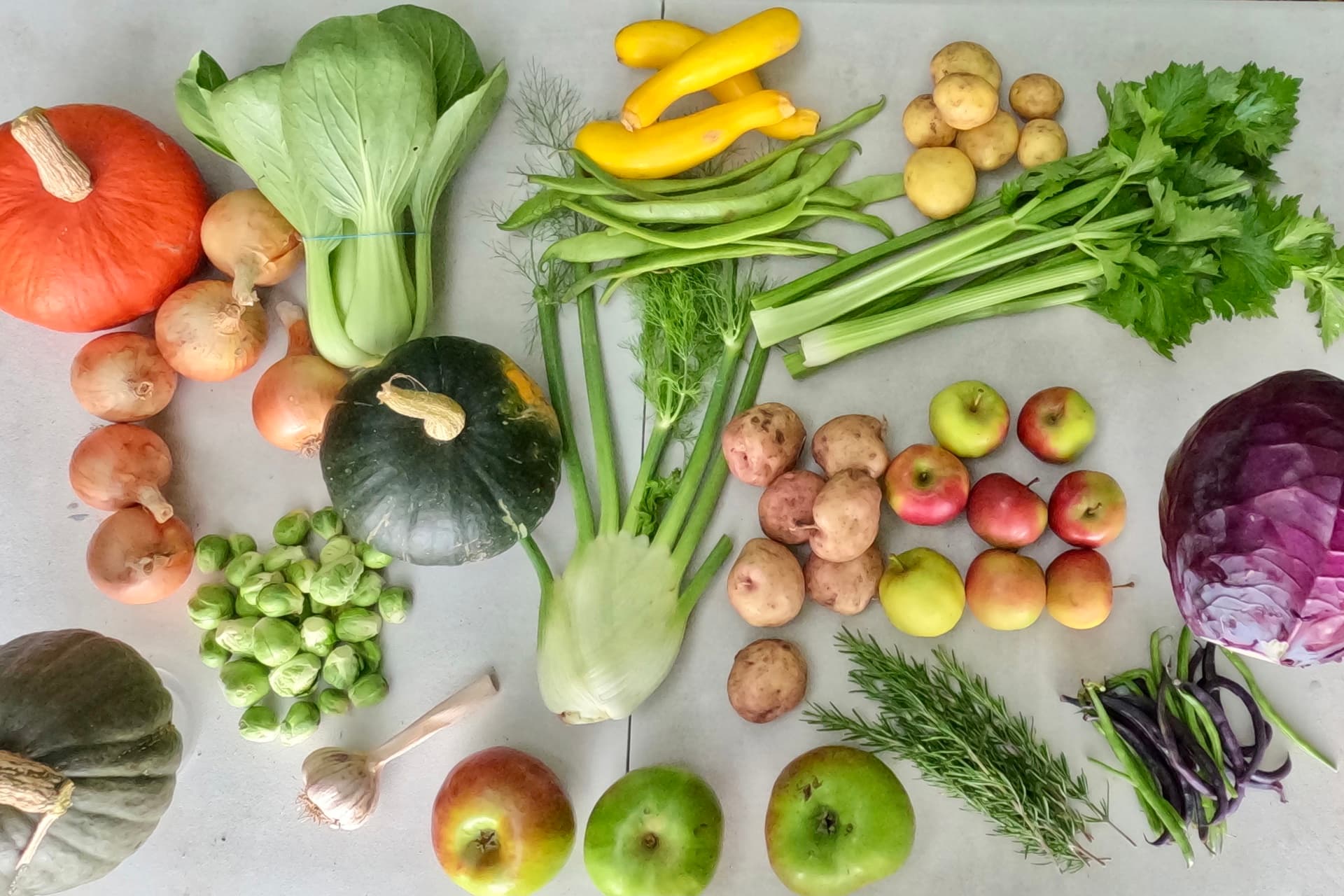 CHRIS'S VEG BOXES