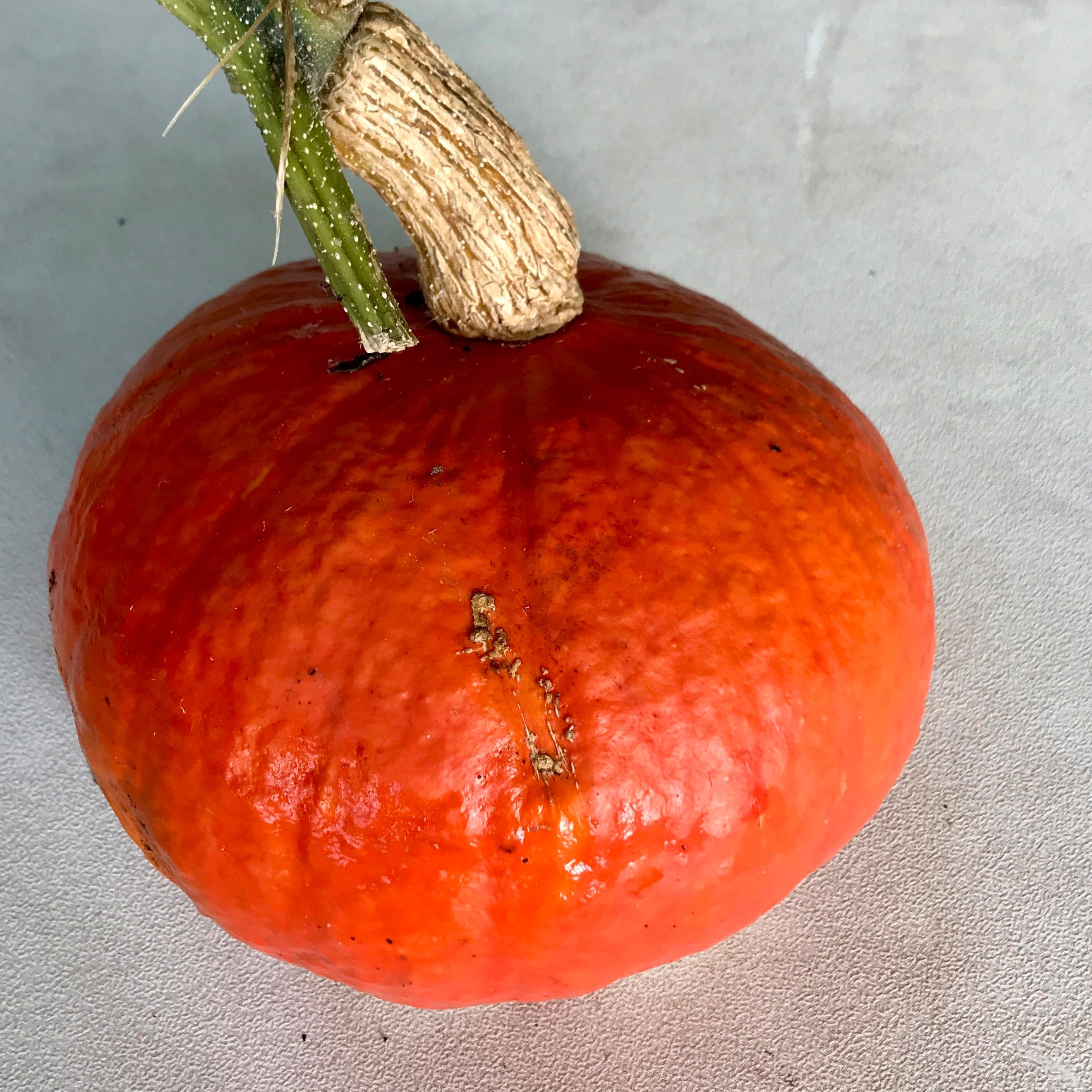 Squash - Red Kuri Regular