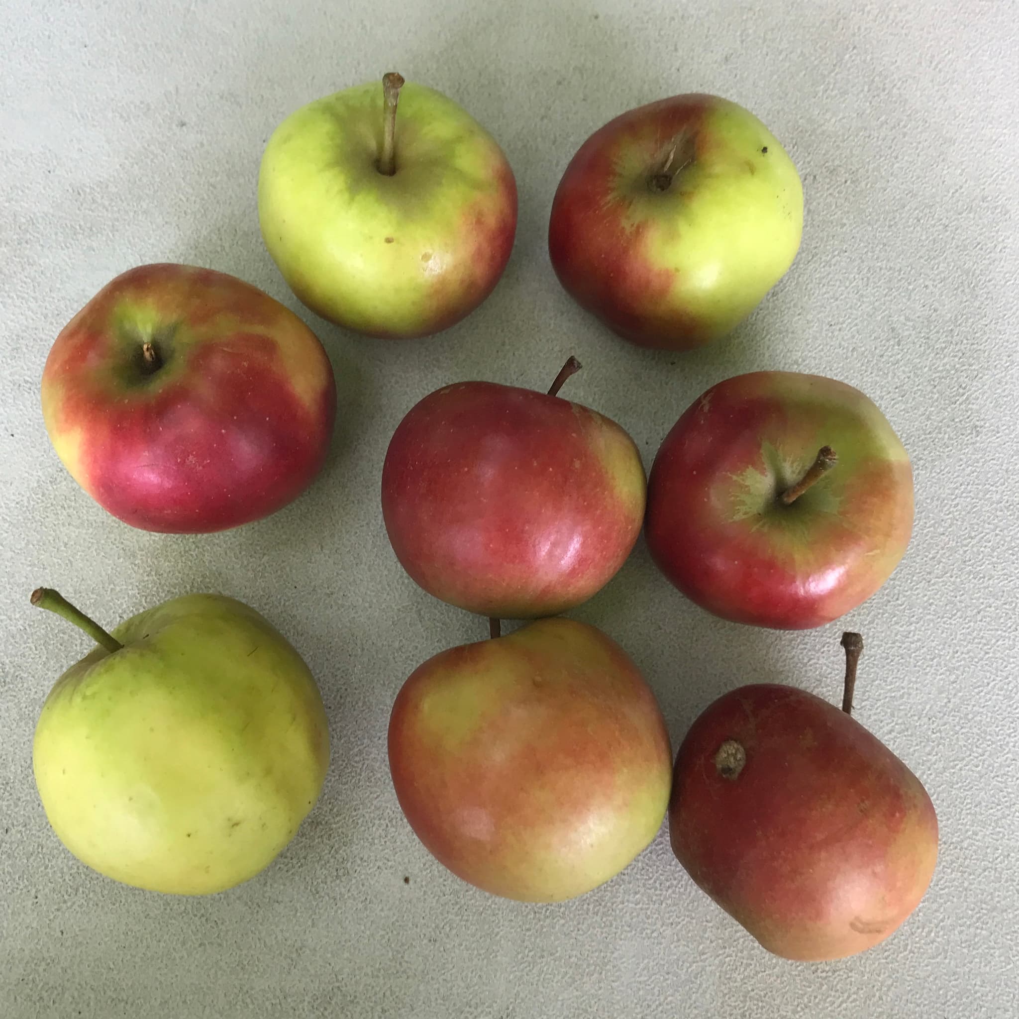 Local Apples Approx 1kg