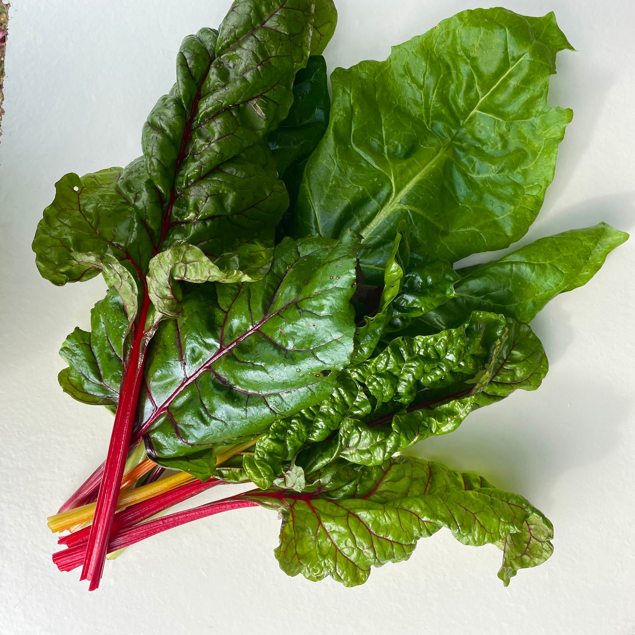 Chard
