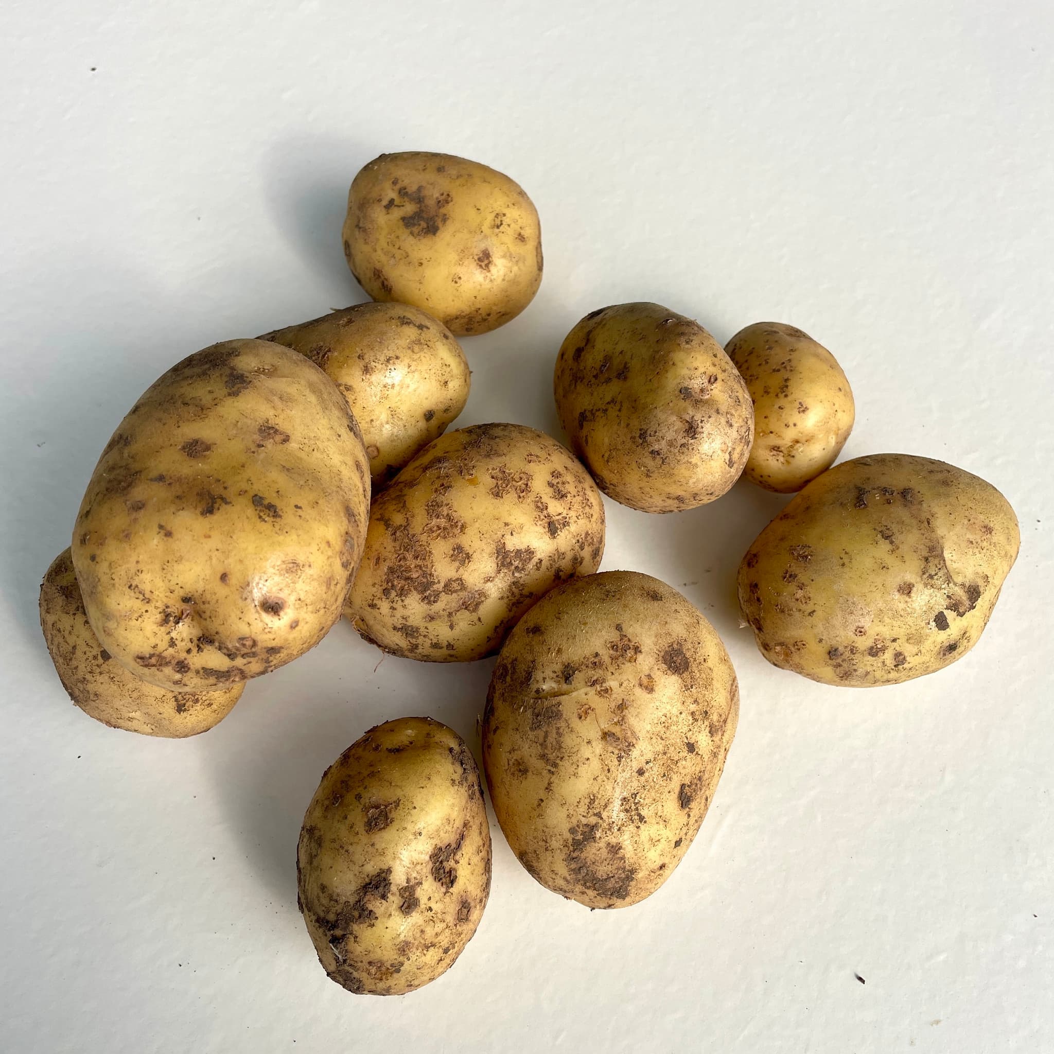 Potatoes Sharpes Express Typically 1kg